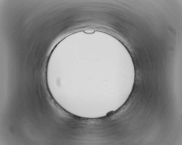 X0000111451530200908241154