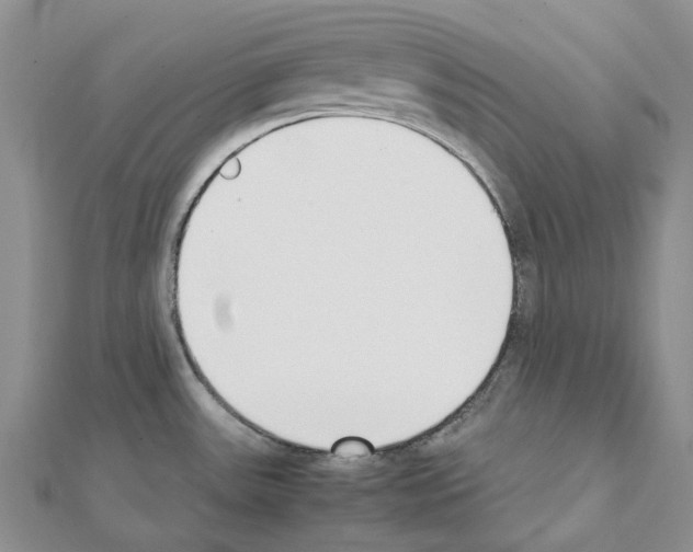 X0000111451531200908241154