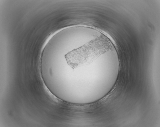 X0000111451532200908241155