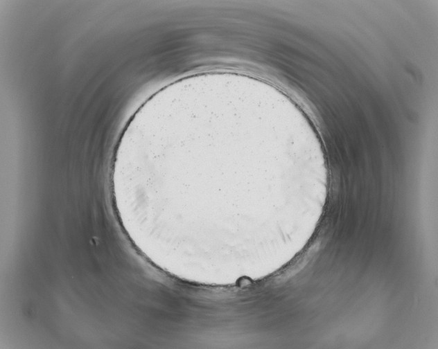 X0000111451533200908241155