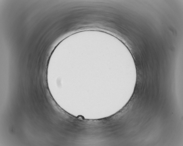 X0000111451534200908241155
