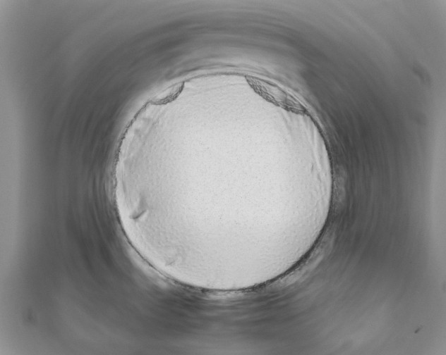 X0000111451535200908241155
