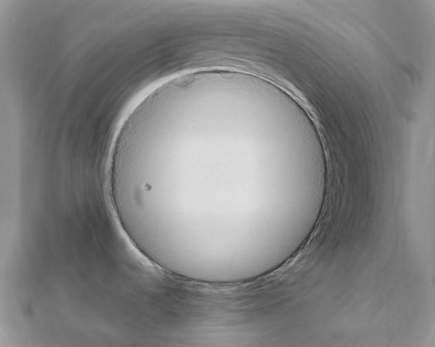 X0000111451536200908241155