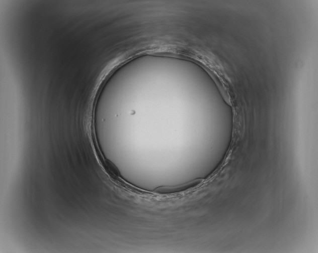 X0000111460003200907131227