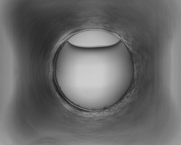 X0000111460005200907131227