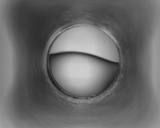 X0000111460007200907131227