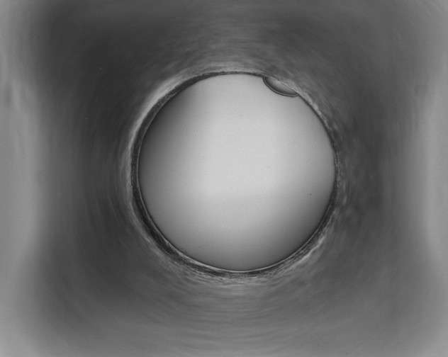 X0000111460008200907131227