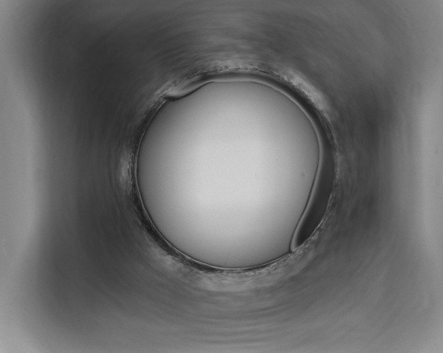 X0000111460009200907131227
