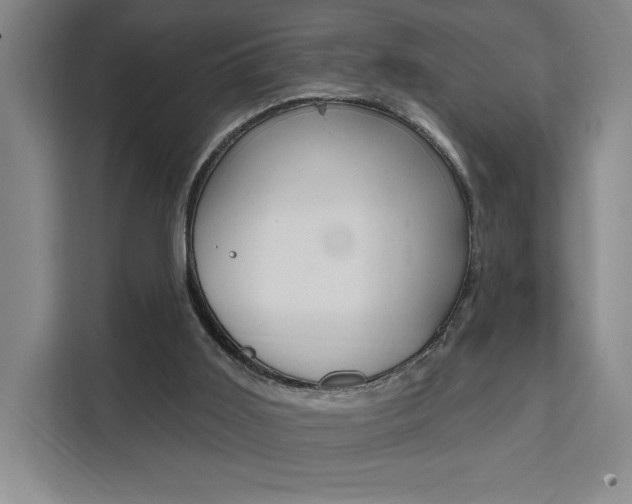 X0000111460011200907131227