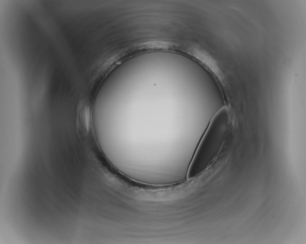 X0000111460013200907131227