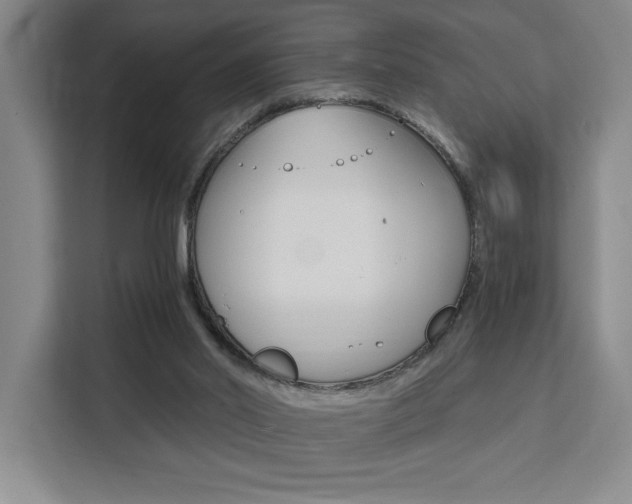 X0000111460014200907131227