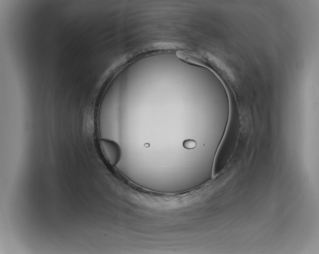 X0000111460015200907131227