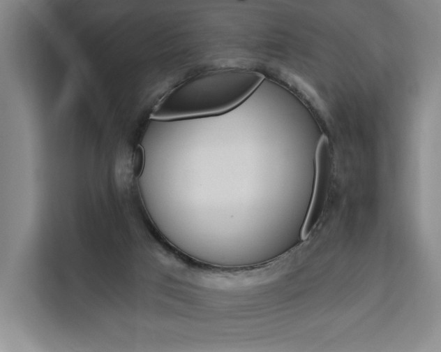X0000111460017200907131227