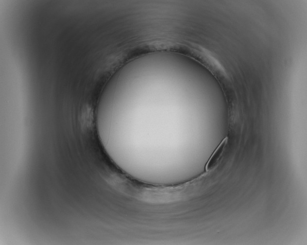 X0000111460025200907131227