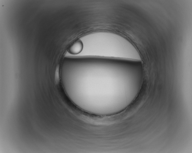 X0000111460028200907131227