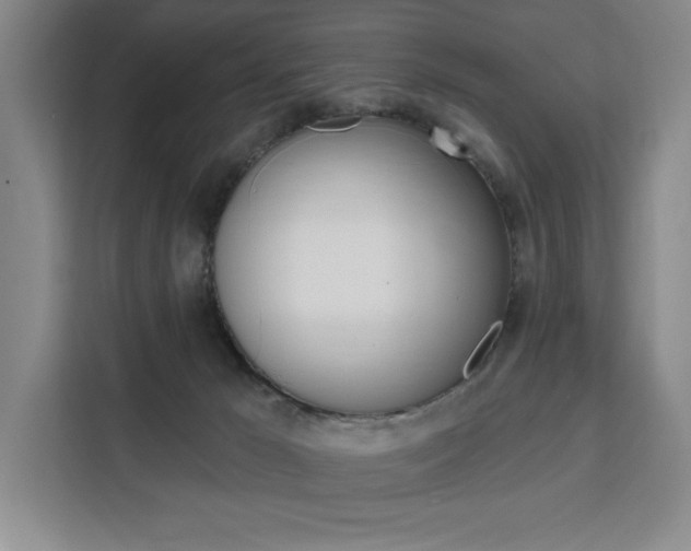 X0000111460029200907131227