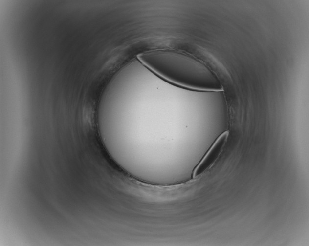 X0000111460035200907131227