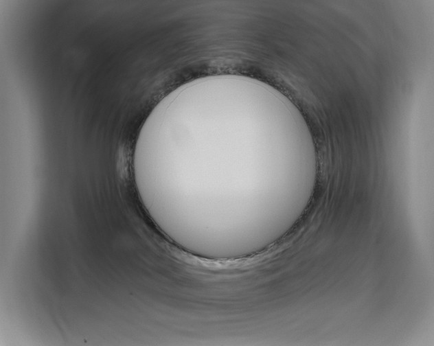 X0000111460038200907131227