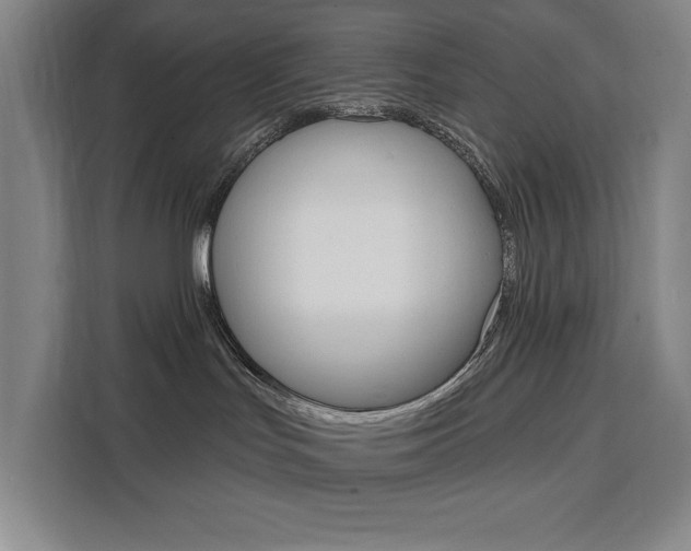 X0000111460047200907131227