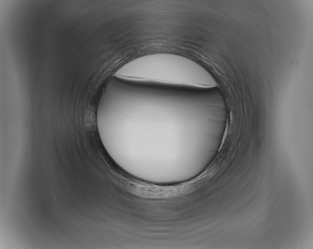 X0000111460048200907131227