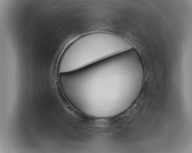 X0000111460050200907131226