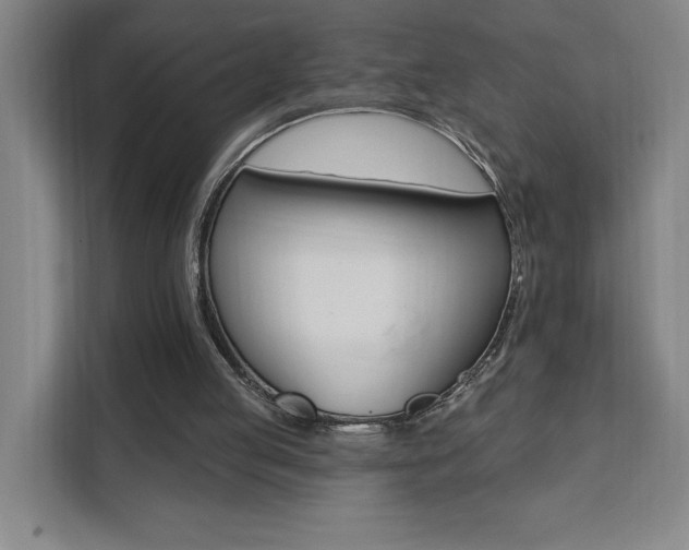 X0000111460053200907131226