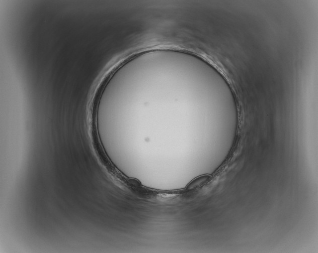 X0000111460055200907131226