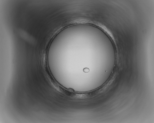 X0000111460057200907131226