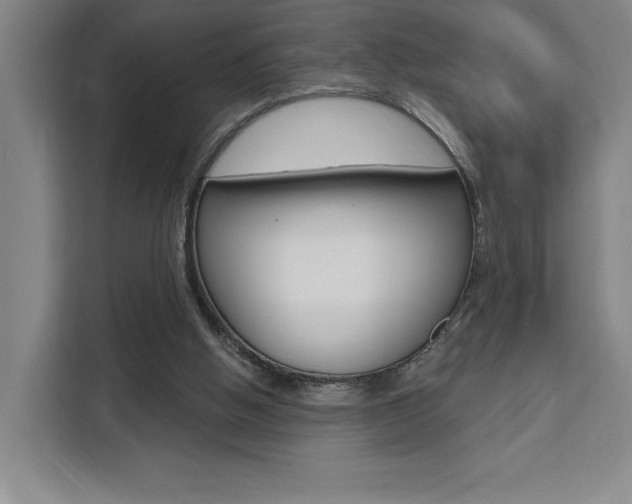 X0000111460058200907131226