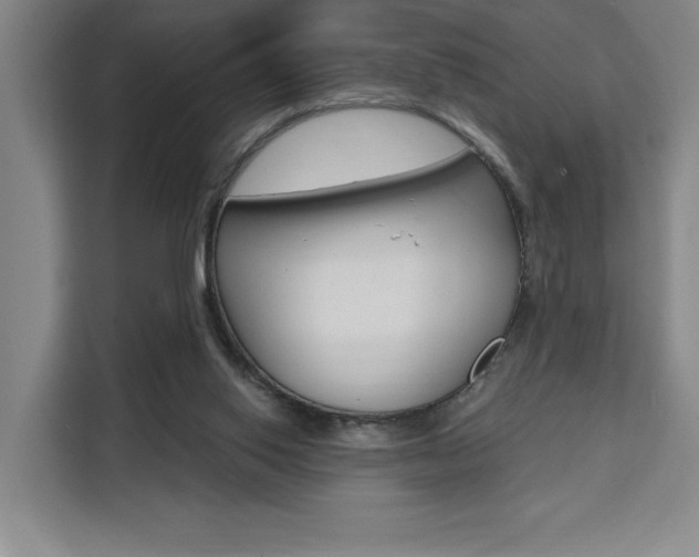 X0000111460062200907131226