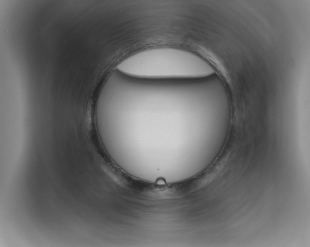 X0000111460065200907131226