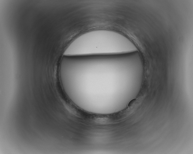 X0000111460066200907131226
