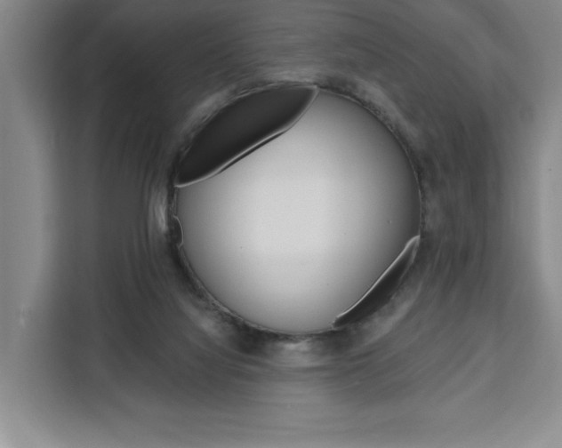 X0000111460068200907131226