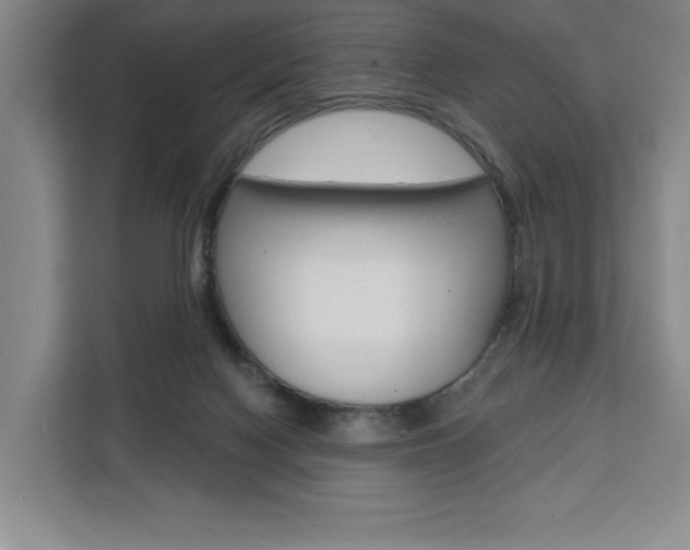 X0000111460074200907131226