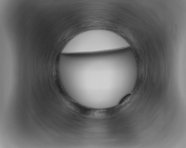 X0000111460078200907131226