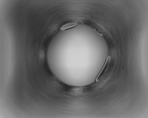X0000111460084200907131226