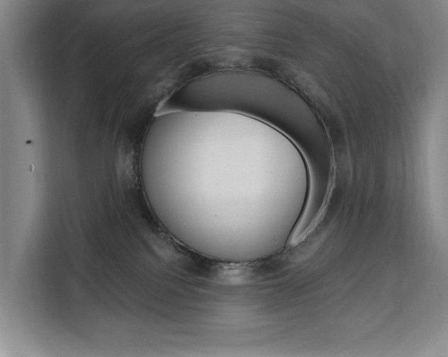 X0000111460088200907131227
