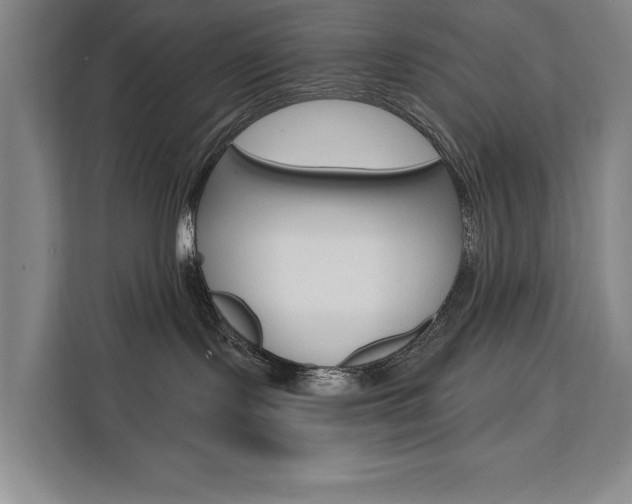 X0000111460095200907131227