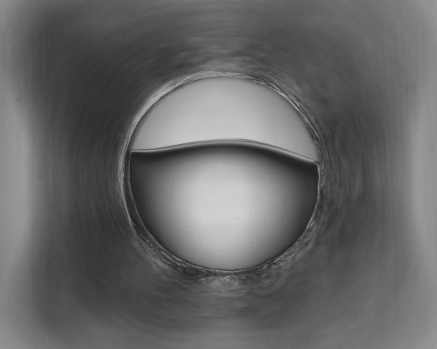 X0000111460100200907131226