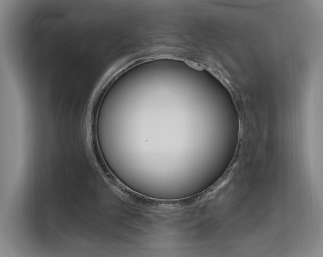X0000111460101200907131226