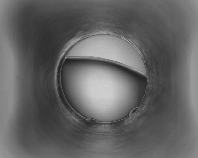 X0000111460104200907131226