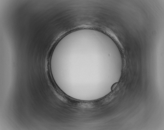 X0000111460106200907131226