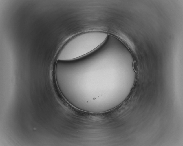X0000111460107200907131226
