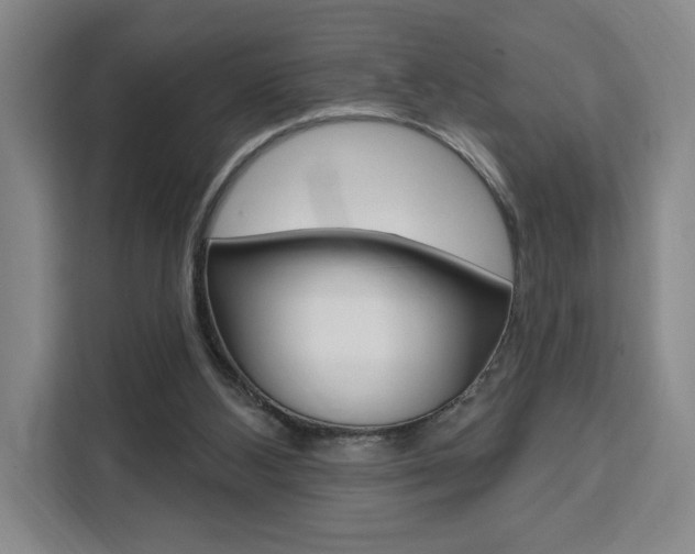 X0000111460108200907131226