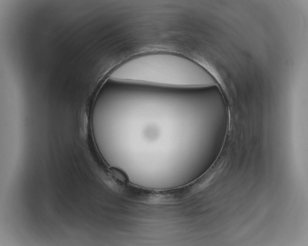 X0000111460109200907131226