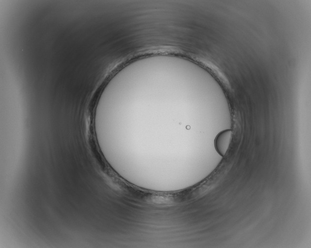 X0000111460110200907131226