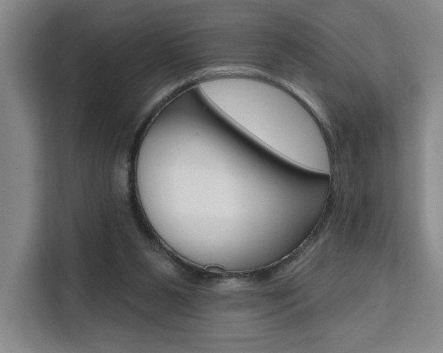 X0000111460111200907131226