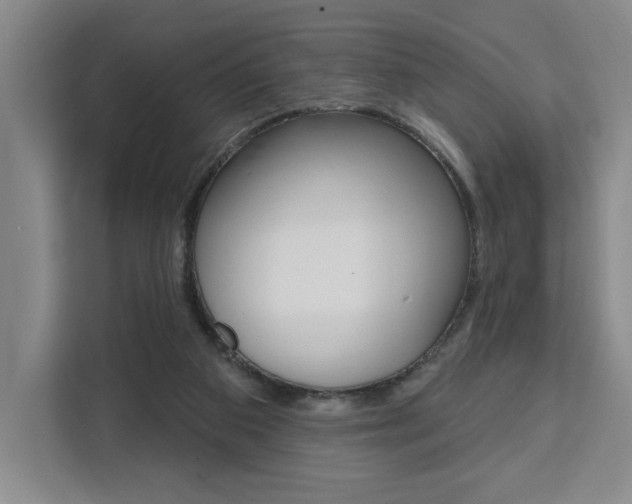X0000111460113200907131226