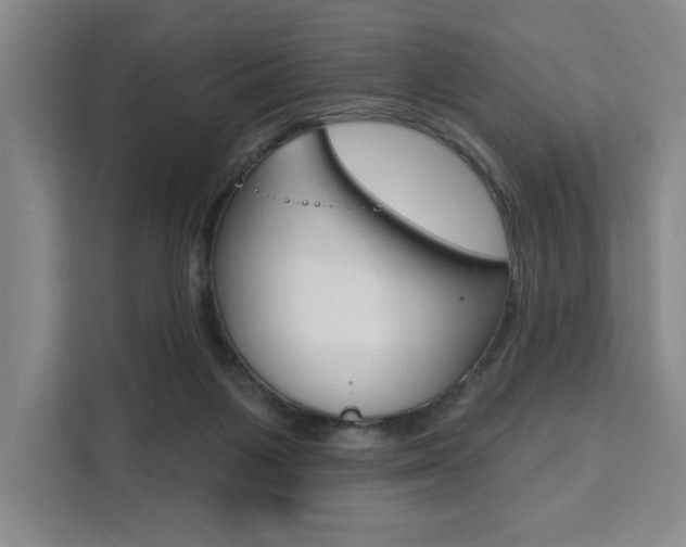 X0000111460119200907131226