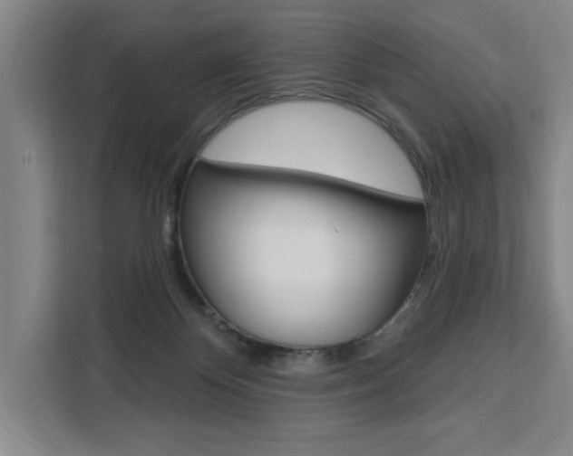 X0000111460124200907131226